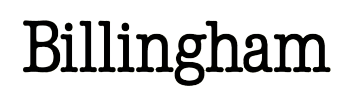 Digital Marketing Consultancy BIllingham Logo